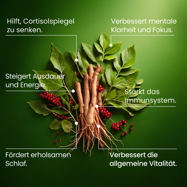 Ashwagandha | 270 Kapseln