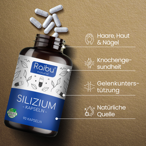 Silizium - hochdosiert (500mg) | 90 Kapseln