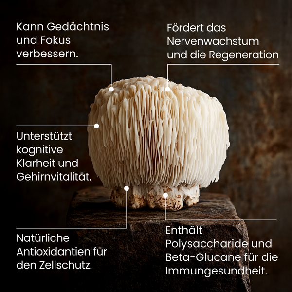 Lions Mane (hochdosiert) | 200 Kapseln