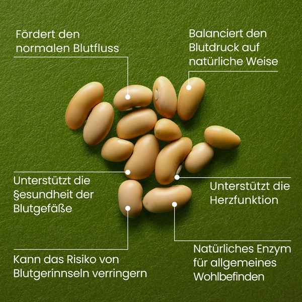 Nattokinase | 240 Kapseln