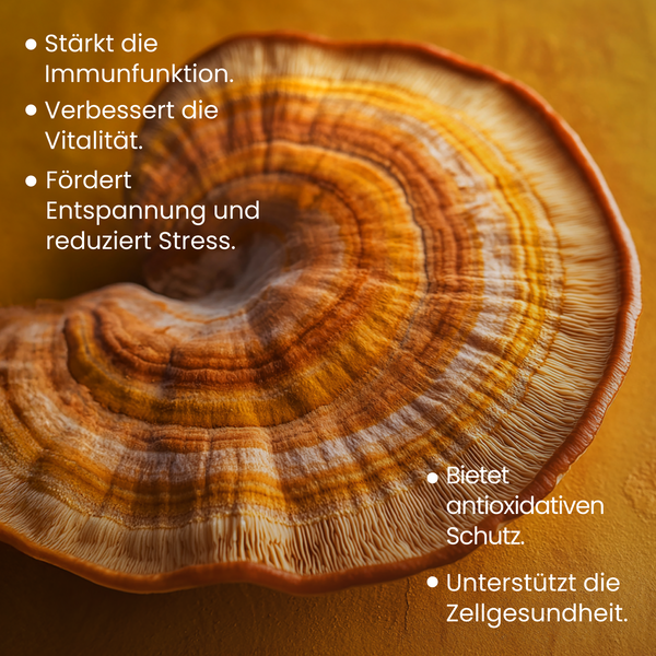 Reishi (hochdosiert) | 200 Kapseln