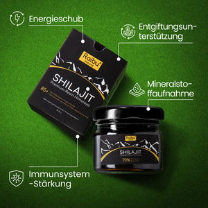 Shilajit Original Himalaya, hochdosiertes Harz | 30 g