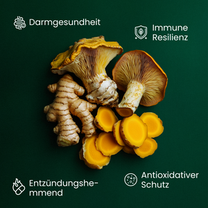 Immununterstützungs Kit