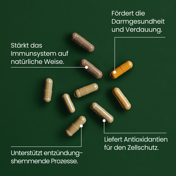 Immununterstützungs Kit