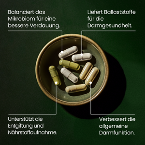 Darm & Verdauungsgesundheit Kit