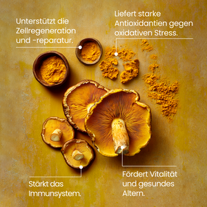 Langlebigkeits Kit